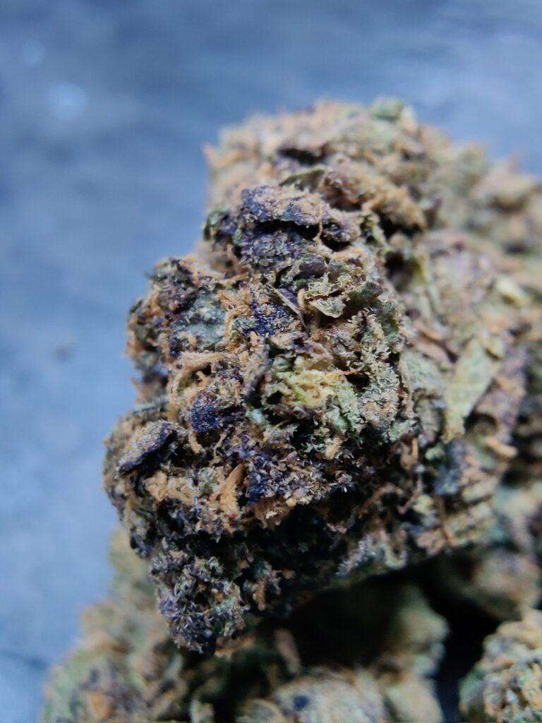 runtz strain