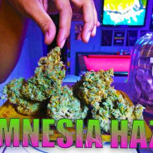 Amnesia Haze