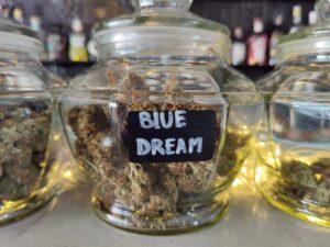 blue dream