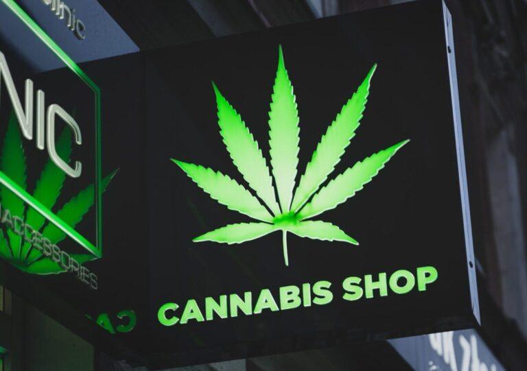 Cannabis Store - Phuket Cannabis - best Weed since 2022