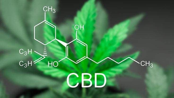 Buy CBD Oil Patong