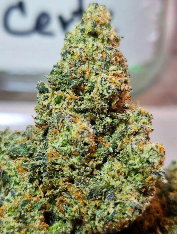 us import weed thailand phuket cali cookies stiizy