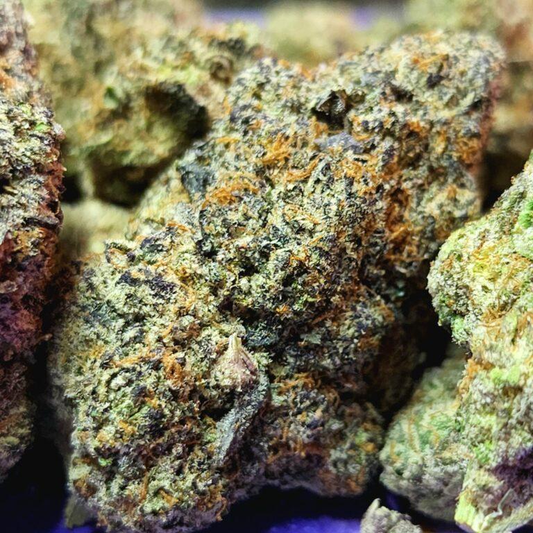 northern lights strain