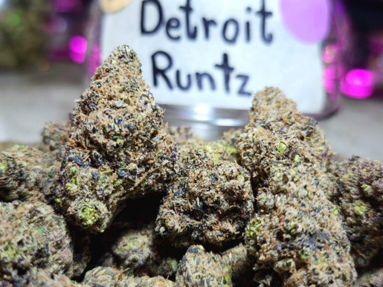 detroit runtz strain