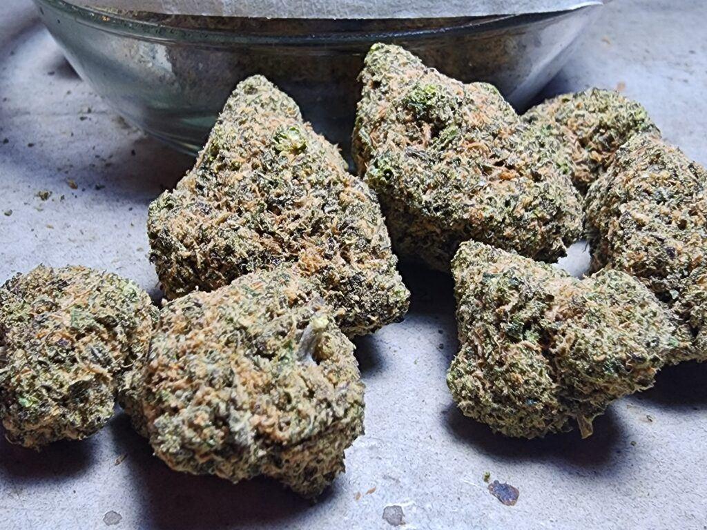 MAC 1 Strain