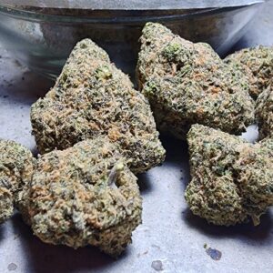 MAC 1 Strain