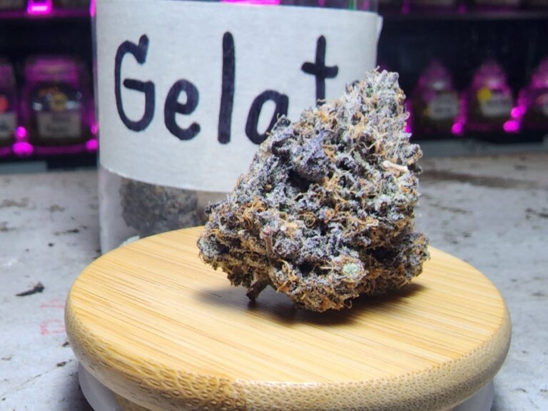 Gelato Strain