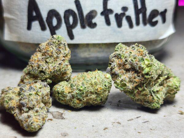 Apple Fritter