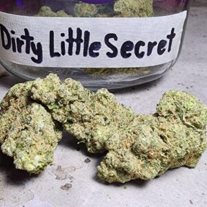 Dirty Little Secret