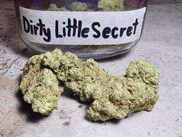 Dirty Little Secret