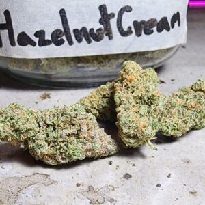 Hazlenut Cream