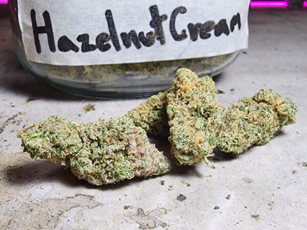 Hazlenut Cream