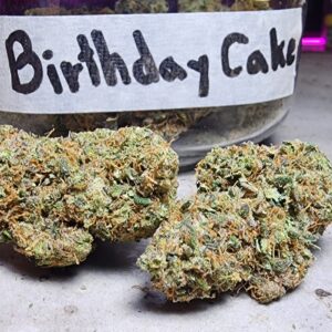 Birthday Cake strain