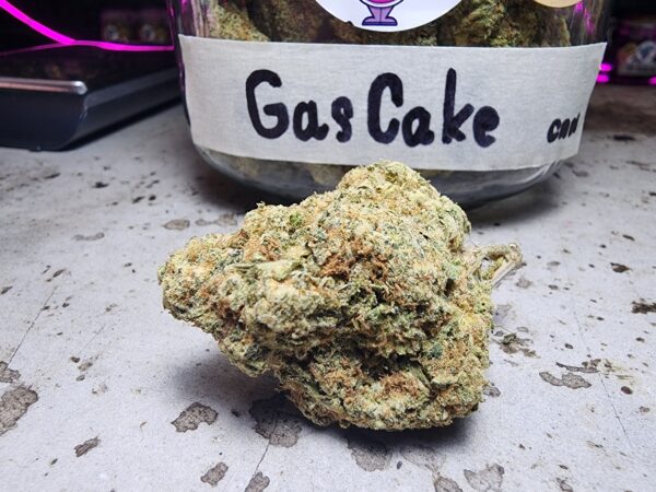 gas cake strain jungle boyz