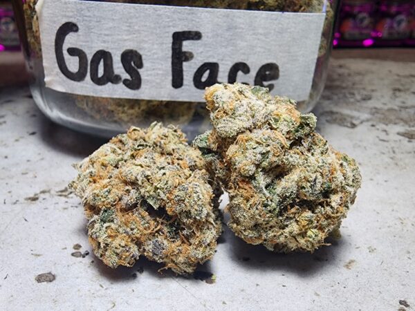 gas face