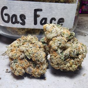 gas face