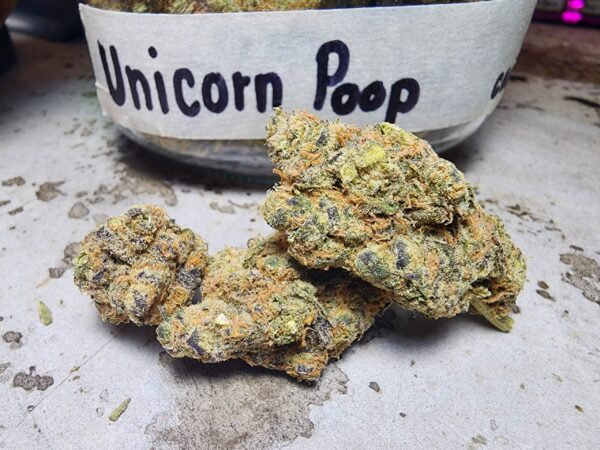 unicorn poop