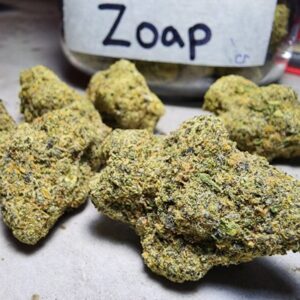 zoap weed strain