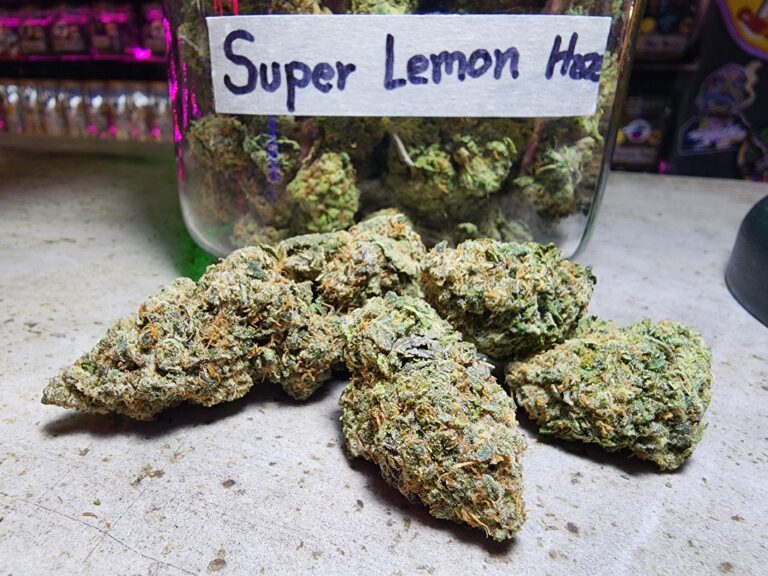 phuket cannabis super lemon haze strain