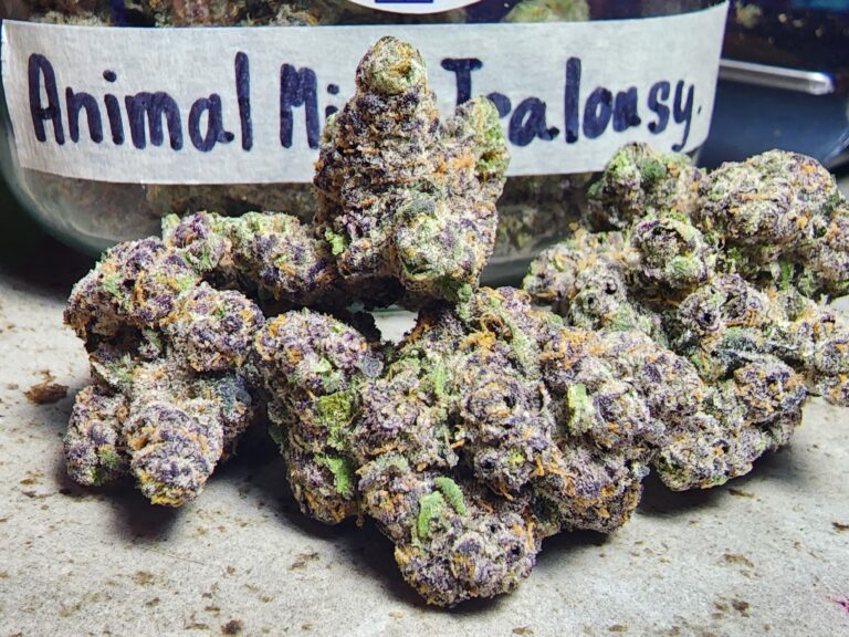 phuket cannabis animal mintz jealousy strain